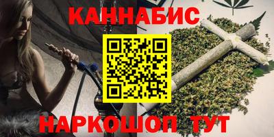 индика Гагарин