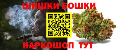 индика Гагарин