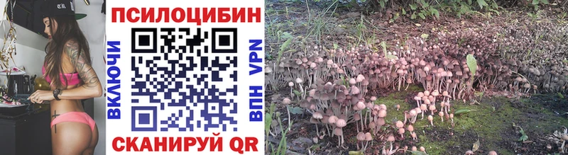 Галлюциногенные грибы Magic Shrooms  shop официальный сайт  Протвино 