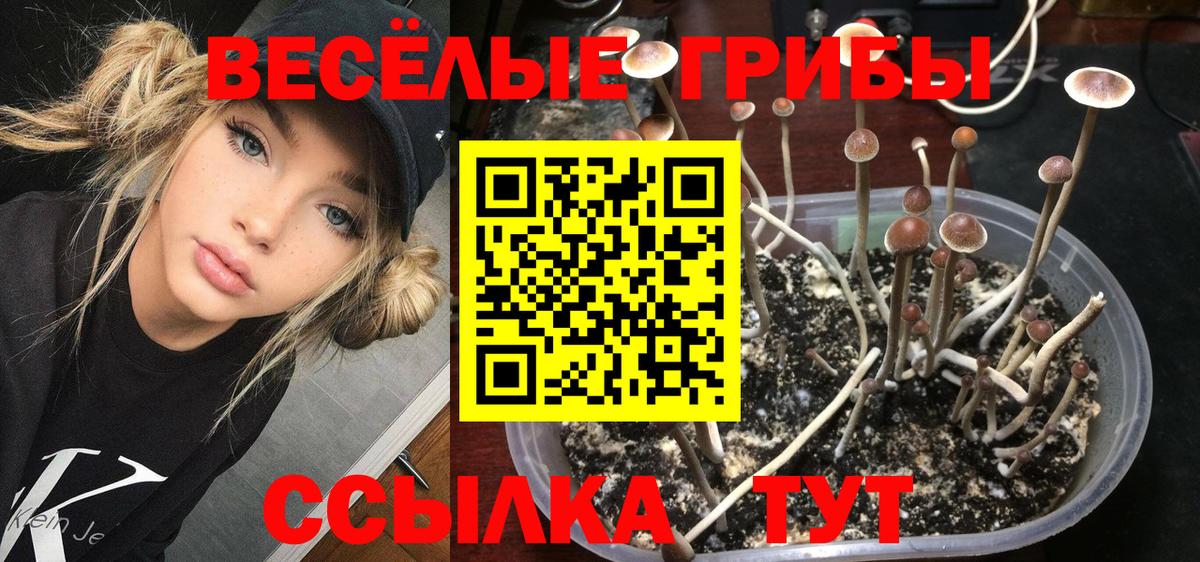 Псилоцибиновые грибы ЛСД  Вход с VPN  Протвино 
