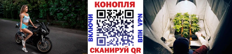 наркота  Протвино  Конопля гибрид 